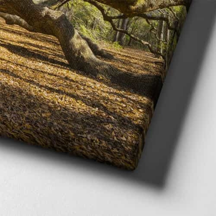 Venedik Yagli Boya Kanvas Tablo