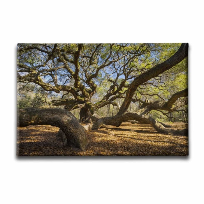 Venedik Yagli Boya Kanvas Tablo