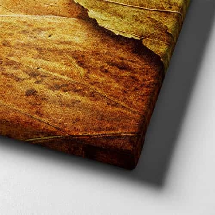 Yaprakli Kanvas  Tablo