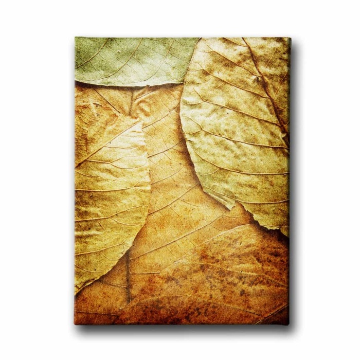Yaprakli Kanvas  Tablo