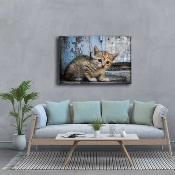 Yavru Kedi Kanvas Tablo