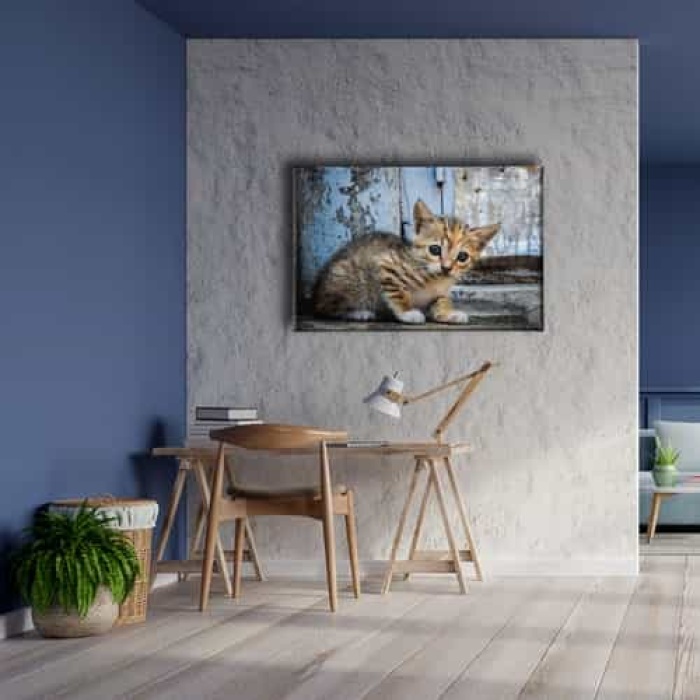 Yavru Kedi Kanvas Tablo