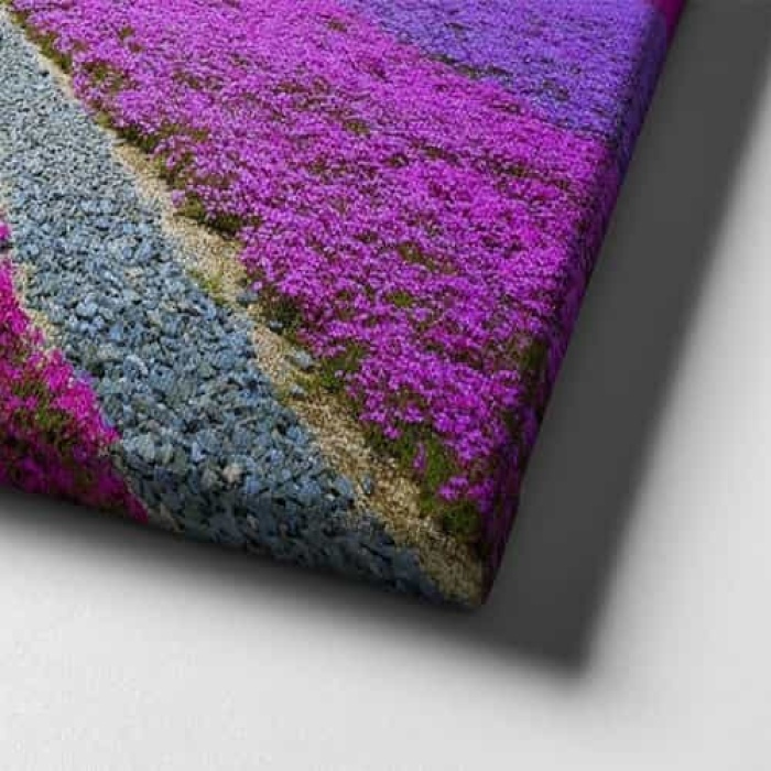 Yaz Bahcesi Manzara Tablo