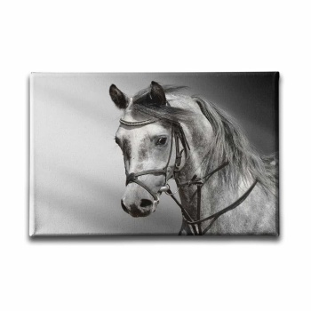 Beyaz At Kanvas Tablo