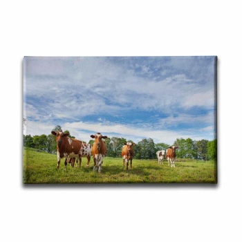 Inekler Kanvas Tablo