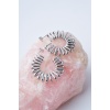Oval Spring Silver Çelik Küpe