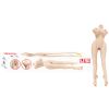 LINA  MASTÜRBATÖR USB JARZ-SESLİ TİTREŞİM