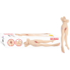 ADRIANA MASTÜRBATÖR USB JARZ-SESLİ TİTREŞİM