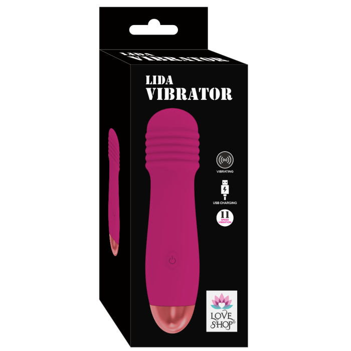 LİDA VİBRATOR