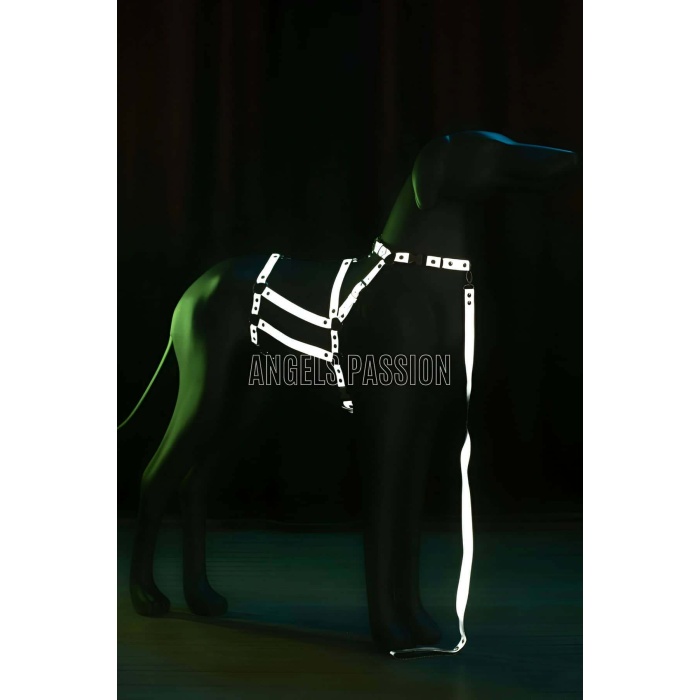 Reflektörlü - Ayarlanabilir Köpek Harness - Köpek Gezdirme Aparatı - NPD007