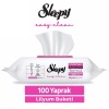 Sleepy Yüzey Temizlik Havlusu 100lü Lilyum