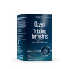 Orzax Ocean Tribulus Terrestris  500 Mg 60 Kapsul
