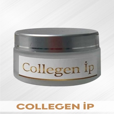 Kazumi Collegen Ip Protokolü