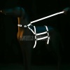 Reflektörlü - Ayarlanabilir Köpek Harness - Köpek Gezdirme Aparatı - NPD007