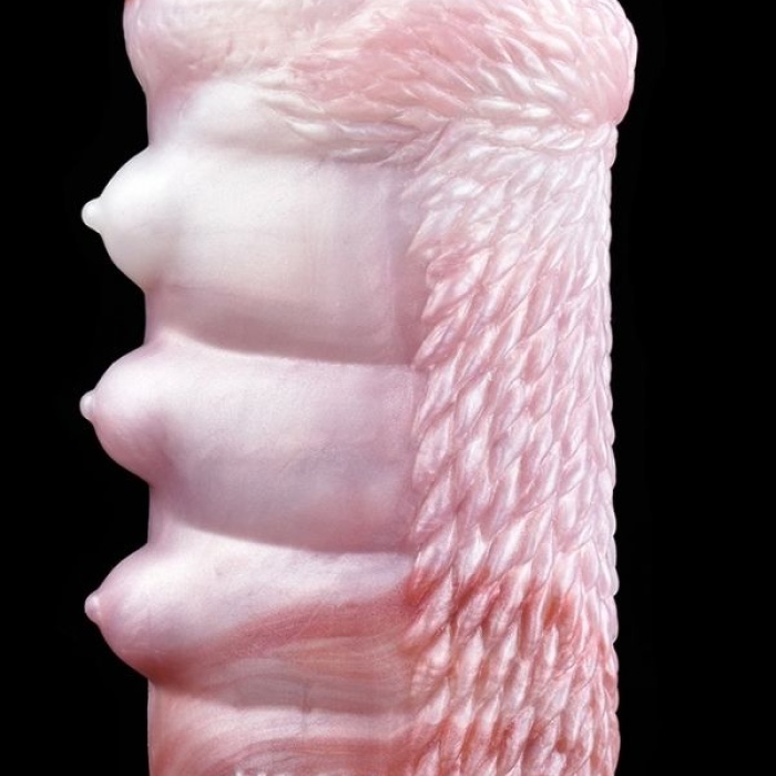 Censan Yaratık Şeklinde Vajina Mastürbatörü Model no: YC-2306