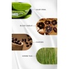 Zigavus Forte Ultra Clinical Kuru & Normal Saçlar için 300 ml - 3 Al 2 Öde