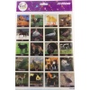 Face Stickers A4 Çiftlik Hayvanları Sticker FC-0108
