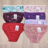 6 Adet Kız Çocuk Desenli Pamuklu Penye Slip Külot  - GBK101410