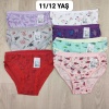 6 Adet Kız Çocuk Desenli Pamuklu Penye Slip Külot  - GBK101410