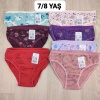 6 Adet Kız Çocuk Desenli Pamuklu Penye Slip Külot  - GBK101410
