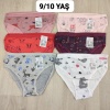 6 Adet Kız Çocuk Desenli Pamuklu Penye Slip Külot  - GBK101410