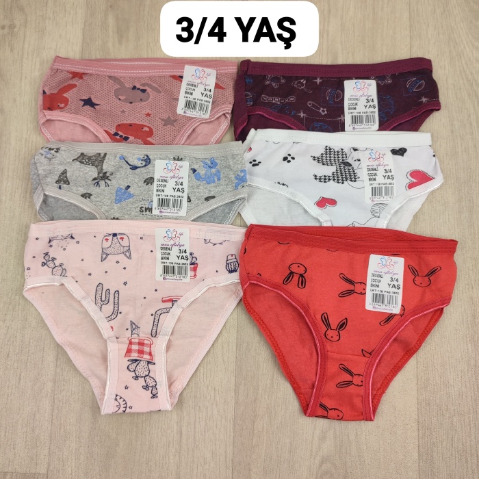 6 Adet Kız Çocuk Desenli Pamuklu Penye Slip Külot  - GBK101410