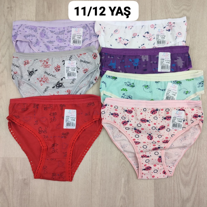 6 Adet Kız Çocuk Desenli Pamuklu Penye Slip Külot  - GBK101410