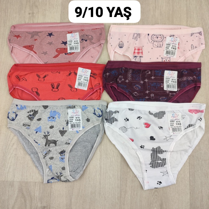 6 Adet Kız Çocuk Desenli Pamuklu Penye Slip Külot  - GBK101410