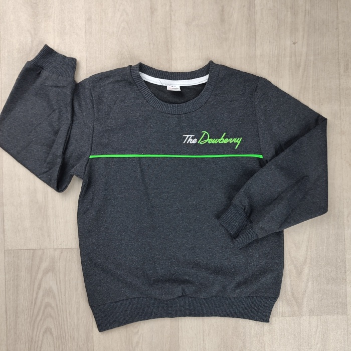 The Dewberry Yazılı Mevsimlik Erkek Çocuk Sweatshirt - GBK103070