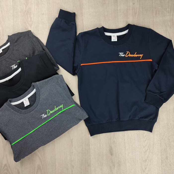 The Dewberry Yazılı Mevsimlik Erkek Çocuk Sweatshirt - GBK103070