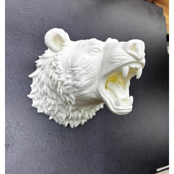 Beyaz Renk 3D Ayı Başı Duvar Dekoru