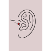 BFS 316L Çelik Gümüş Renk Zirkon Taşlı Sallantı Kalp Detay Tragus Piercing