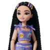 BFS   JFX99 Rene - Barbie Dream Besties Paten Partisi Rene Bebek ve Aksesuarları