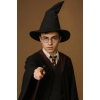 BFS   Harry Potter Seçmen Şapkası Siyah Renk