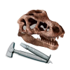 BFS   Bilim ve Oyun T-Rex Kazı Seti