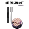 BFS Cat Eyes Tırnak Mıknatısı – 3D Efektli Manyetik Takma Tırnak Sanatı İçin Profesyonel Set