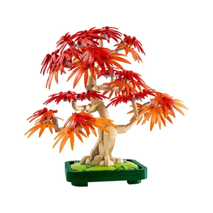 10348  iconic Japon Akçaağaç Bonsai Ağacı 474 parça +18 yaş