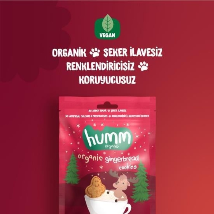 Organik Zencefilli ve Tarçınlı Vegan Kurabiye 55 Gr