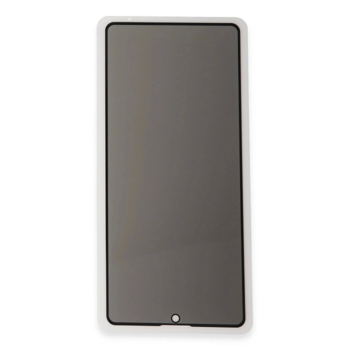 BFS  Samsung Galaxy S25 Plus 3D Antistatik Hayalet Cam Ekran Koruyucu