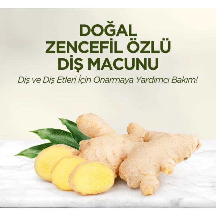 BFS   Eyüp Sabri Tuncer Doğal Diş Macunu 90 Gr Zencefil Özlü