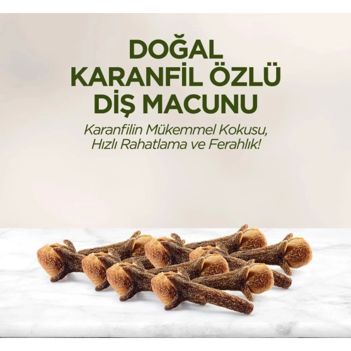 BFS   Eyüp Sabri Tuncer Doğal Diş Macunu 90 Gr Karanfil