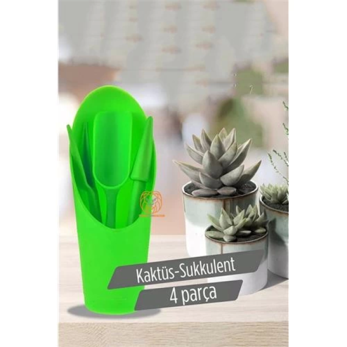 BFS Kaktüs Sukkulent Dikim Seti