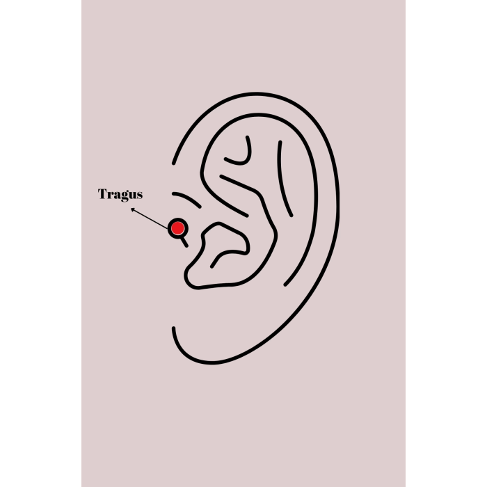 BFS 316L Çelik Gümüş Renk Zirkon Taşlı Kelebek Model Tragus Piercing