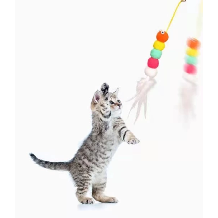 BFS  Elastik Kendinden Yapışkanlı Solucan Kedi Oltası