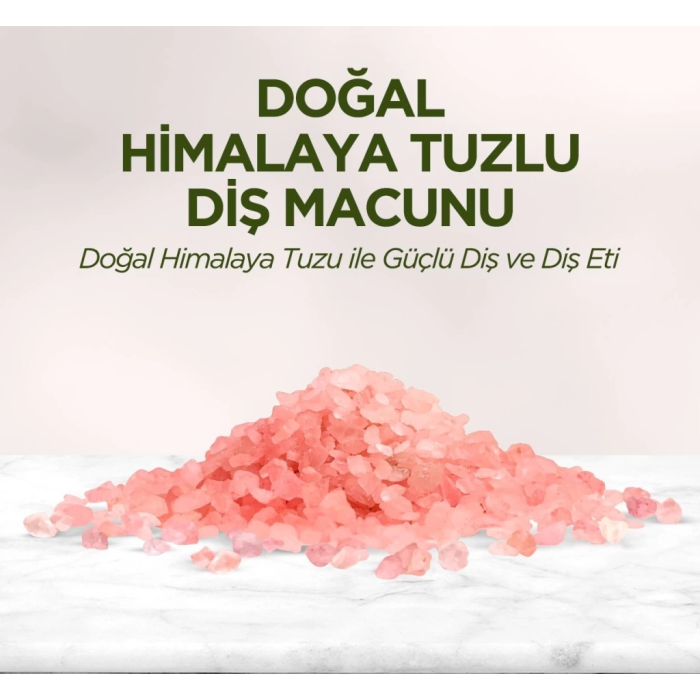 BFS   Doğal Diş Macunu 90 Gr Himalaya Tuzlu