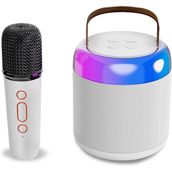 Kablosuz Mikrofonlu ve Işıklı Hoparlör