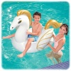Pegasus Binici 159 x 109 Cm   - 41121