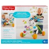     Melodili Zebra Yürüteç DLD80