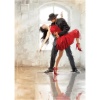 4381 Art Puzzle Tutkunun Dansı 1000 Parça Puzzle