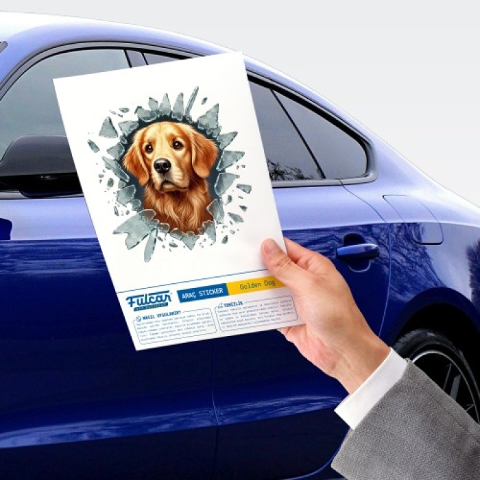 Fulcar  en Araç Stickerı
